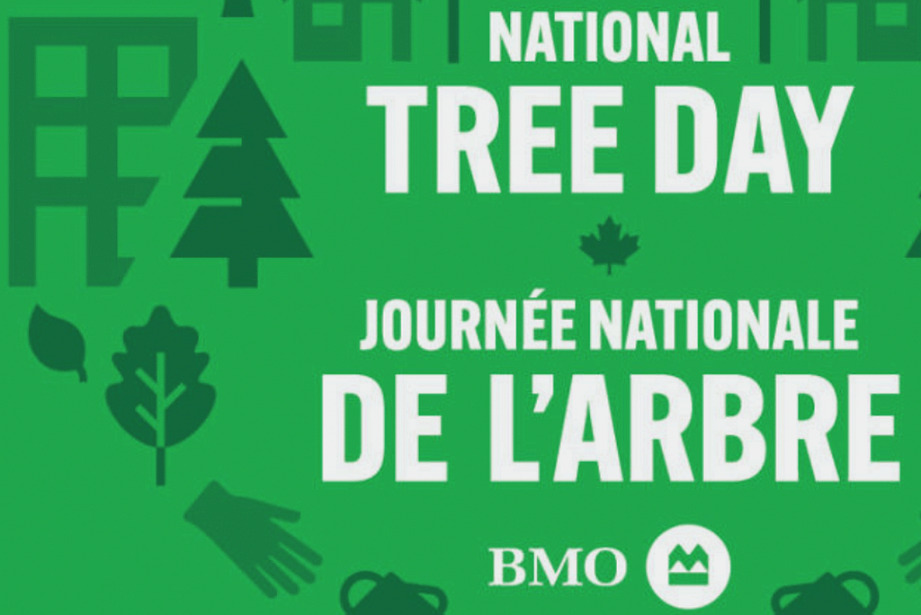 National Tree Day National Tree Day