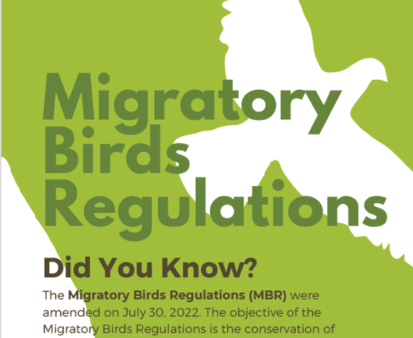 Migratory Birds Regulations Migratory Birds Regulations